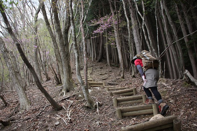 * はしごハイク 青倉山 * 兵庫100山 * はしごハイク 青倉山 * 兵庫100山