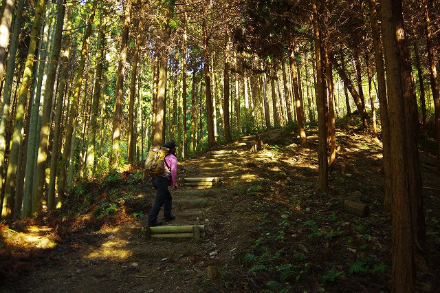 *播磨富士 秋の明神山 Cコース~Aコース* 兵庫100山 *播磨富士 秋の明神山 Cコース~Aコース* 兵庫100山