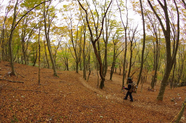 * 紅葉とカレンフェルト 霊仙山登山 * 鈴鹿 * 紅葉とカレンフェルト 霊仙山登山 * 鈴鹿