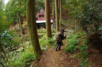 * 紅葉とカレンフェルト 霊仙山登山 * 鈴鹿