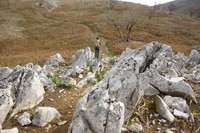 * 紅葉とカレンフェルト 霊仙山登山 * 鈴鹿