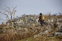 * 紅葉とカレンフェルト 霊仙山登山 * 鈴鹿