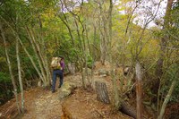 *播磨富士 秋の明神山 Cコース~Aコース* 兵庫100山