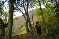 *播磨富士 秋の明神山 Cコース~Aコース* 兵庫100山