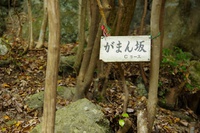 *播磨富士 秋の明神山 Cコース~Aコース* 兵庫100山