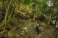 *播磨富士 秋の明神山 Cコース~Aコース* 兵庫100山