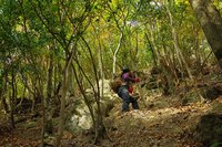 *播磨富士 秋の明神山 Cコース~Aコース* 兵庫100山
