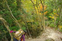 *播磨富士 秋の明神山 Cコース~Aコース* 兵庫100山