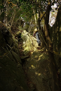 *播磨富士 秋の明神山 Cコース~Aコース* 兵庫100山