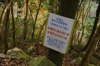 *播磨富士 秋の明神山 Cコース~Aコース* 兵庫100山