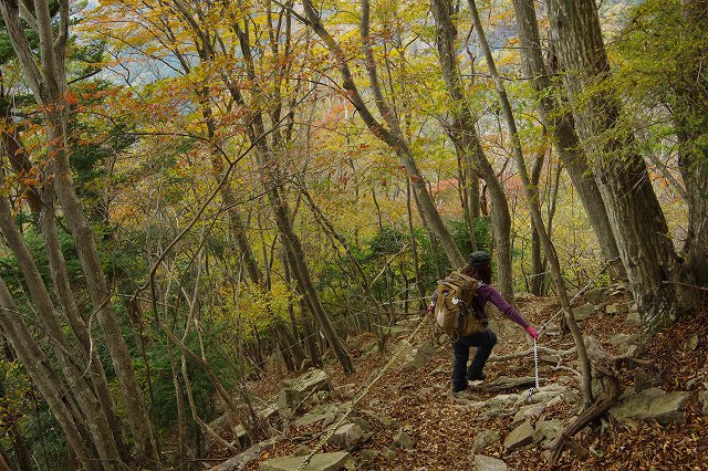 *播磨富士 秋の明神山 Cコース~Aコース* 兵庫100山 *播磨富士 秋の明神山 Cコース~Aコース* 兵庫100山
