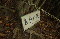 *播磨富士 秋の明神山 Cコース~Aコース* 兵庫100山