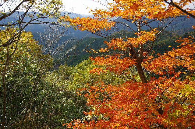 *播磨富士 秋の明神山 Cコース~Aコース* 兵庫100山 *播磨富士 秋の明神山 Cコース~Aコース* 兵庫100山