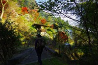 *播磨富士 秋の明神山 Cコース~Aコース* 兵庫100山