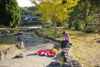 *播磨富士 秋の明神山 Cコース~Aコース* 兵庫100山