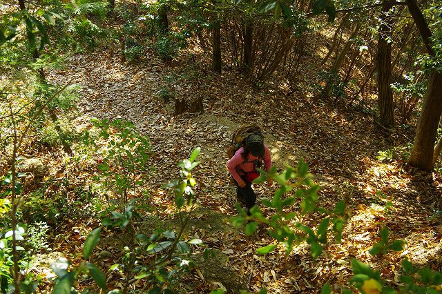 *播磨富士 秋の明神山 Cコース~Aコース* 兵庫100山 *播磨富士 秋の明神山 Cコース~Aコース* 兵庫100山