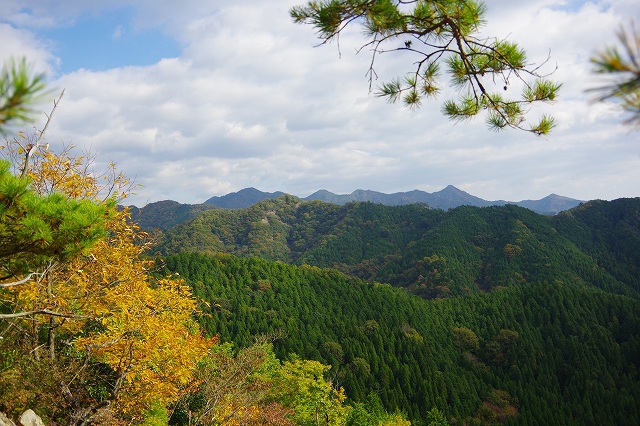 *播磨富士 秋の明神山 Cコース~Aコース* 兵庫100山 *播磨富士 秋の明神山 Cコース~Aコース* 兵庫100山