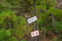 *播磨富士 秋の明神山 Cコース~Aコース* 兵庫100山
