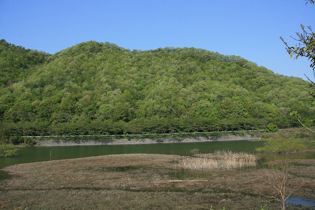 * 一等三角点の山 千丈寺山 * 兵庫100山 * 一等三角点の山 千丈寺山 * 兵庫100山