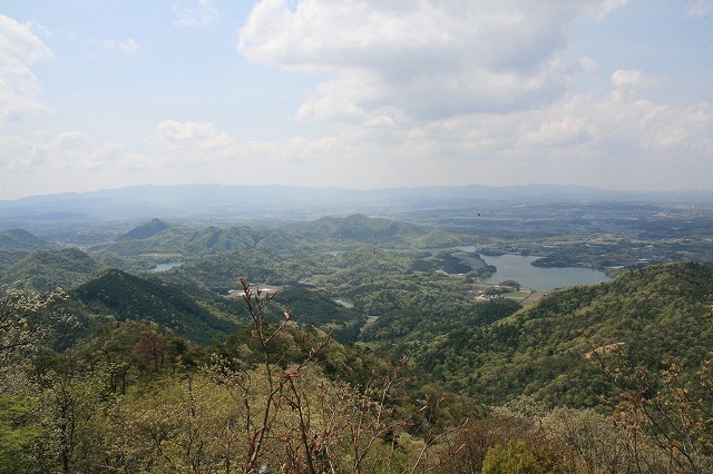 * 一等三角点の山 千丈寺山 * 兵庫100山 * 一等三角点の山 千丈寺山 * 兵庫100山