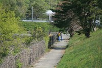 * 一等三角点の山 千丈寺山 * 兵庫100山