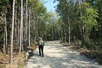 * 一等三角点の山 千丈寺山 * 兵庫100山