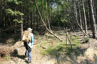 * 一等三角点の山 千丈寺山 * 兵庫100山