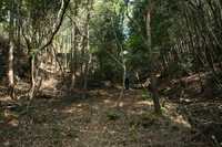 * 一等三角点の山 千丈寺山 * 兵庫100山