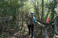* 一等三角点の山 千丈寺山 * 兵庫100山