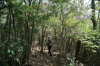 * 一等三角点の山 千丈寺山 * 兵庫100山