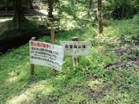 * 猛暑日登山 白髪山~松尾山 * 兵庫100山