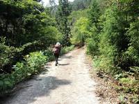* 猛暑日登山 白髪山~松尾山 * 兵庫100山