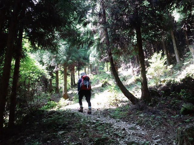 * 猛暑日登山 白髪山~松尾山 * 兵庫100山 * 猛暑日登山 白髪山~松尾山 * 兵庫100山