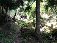 * 猛暑日登山 白髪山~松尾山 * 兵庫100山
