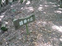 * 猛暑日登山 白髪山~松尾山 * 兵庫100山