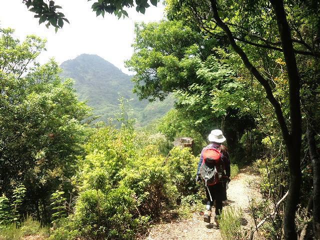 * 猛暑日登山 白髪山~松尾山 * 兵庫100山 * 猛暑日登山 白髪山~松尾山 * 兵庫100山