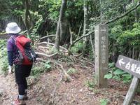 * 猛暑日登山 白髪山~松尾山 * 兵庫100山