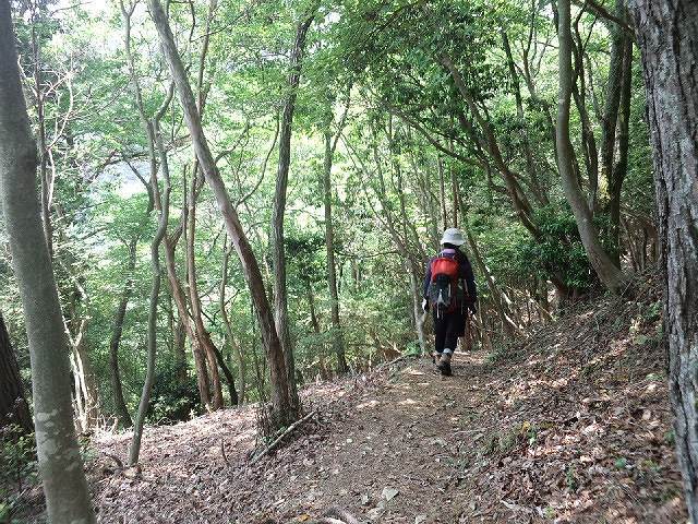 * 猛暑日登山 白髪山~松尾山 * 兵庫100山 * 猛暑日登山 白髪山~松尾山 * 兵庫100山