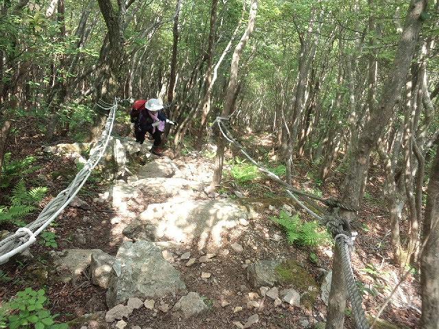* 猛暑日登山 白髪山~松尾山 * 兵庫100山 * 猛暑日登山 白髪山~松尾山 * 兵庫100山