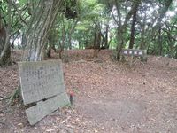 * 猛暑日登山 白髪山~松尾山 * 兵庫100山