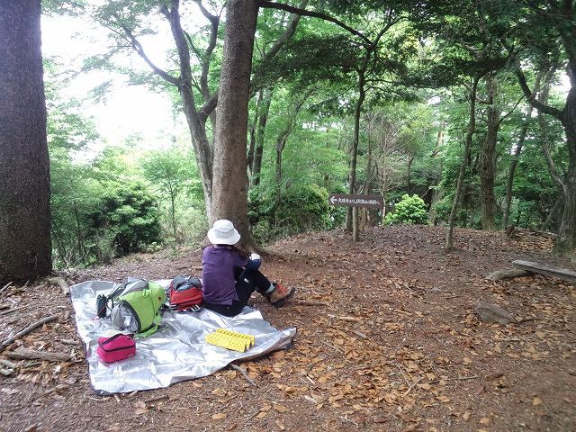 * 猛暑日登山 白髪山~松尾山 * 兵庫100山 * 猛暑日登山 白髪山~松尾山 * 兵庫100山