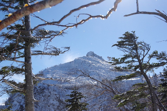 *冬の八ケ岳登山 天狗岳 * 黒百合-中山峠-天狗岳 *冬の八ケ岳登山 天狗岳 * 黒百合-中山峠-天狗岳