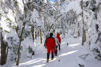 *冬の八ケ岳登山 天狗岳 * 黒百合-中山峠-天狗岳