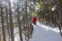 *冬の八ケ岳登山 天狗岳 * 黒百合-中山峠-天狗岳