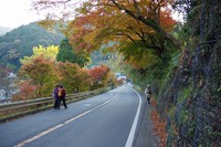 *京都一周トレイル* その弐 上桂~高雄~高山寺