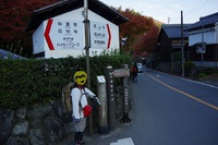*京都一周トレイル* その弐 上桂~高雄~高山寺