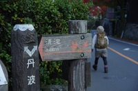 *京都一周トレイル* その弐 上桂~高雄~高山寺