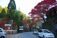 *京都一周トレイル* その弐 上桂~高雄~高山寺