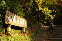 *京都一周トレイル* その弐 上桂~高雄~高山寺