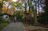 *京都一周トレイル* その弐 上桂~高雄~高山寺